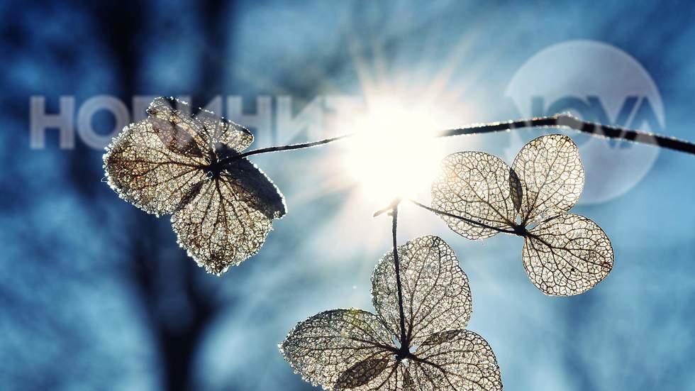 Да си украсим деня