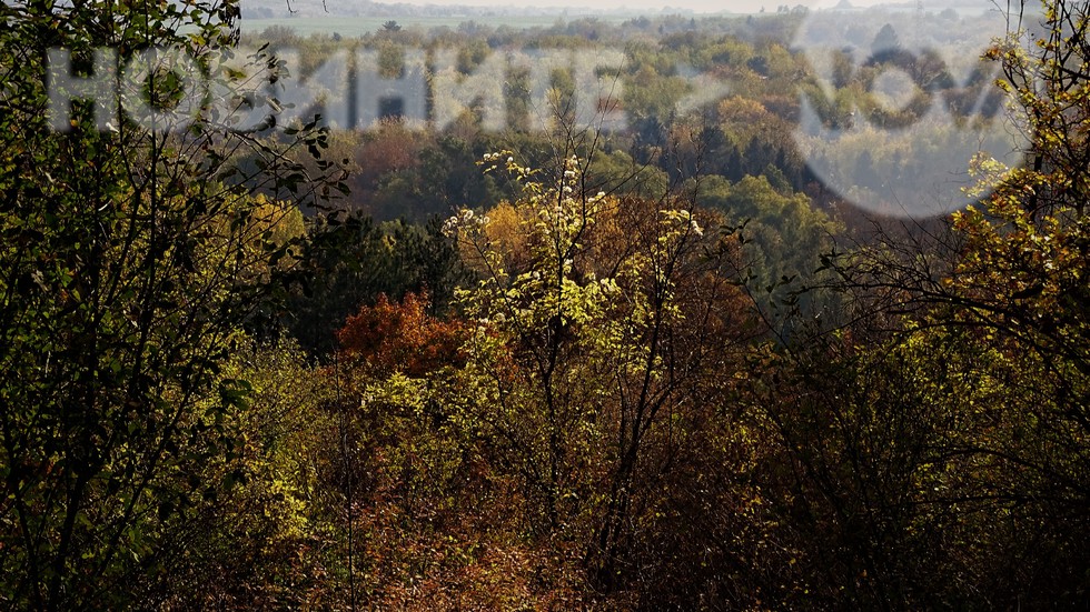 Есен край Плевен