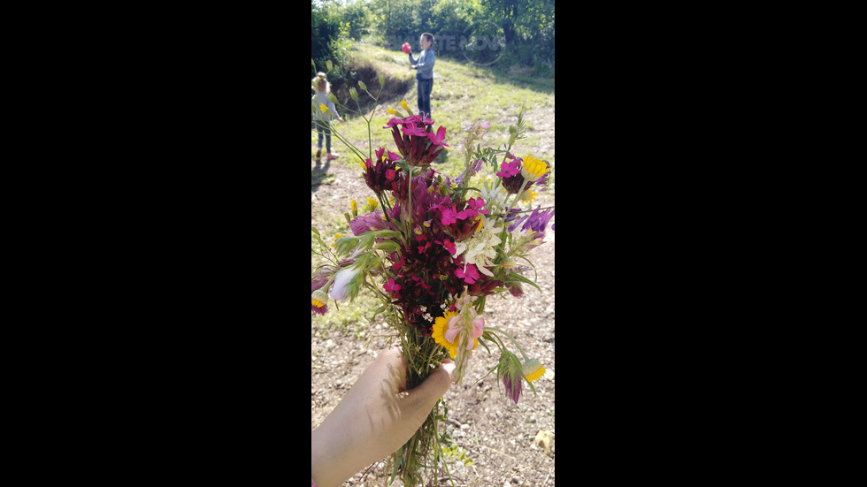 Пъстър букет от цветя