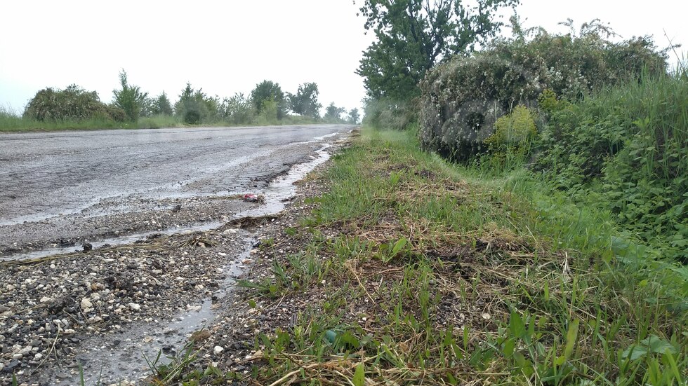 Окосена трева по път Кубрат-Разград