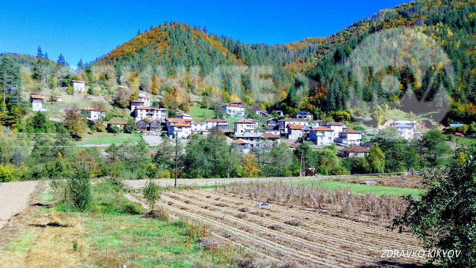 Село Липец