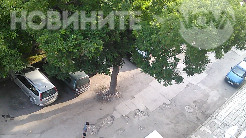 Нашата "красива" и интересна улица