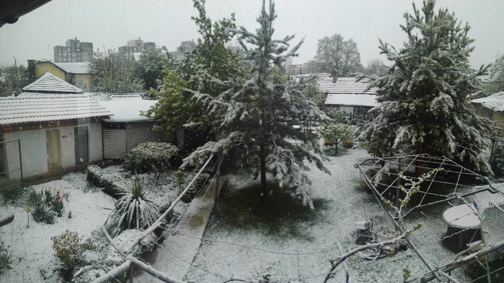 Сняг на 20.04 в Разград