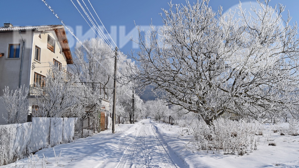 Приказно скрежно утро