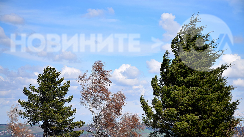 Силен вятър в Лудогорието!