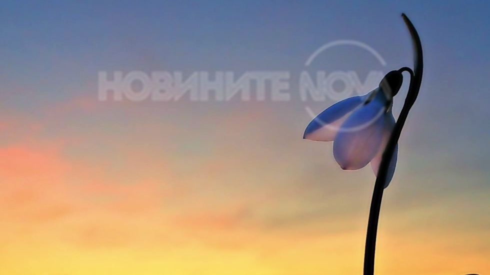 Малка пролетна грация на свечеряване