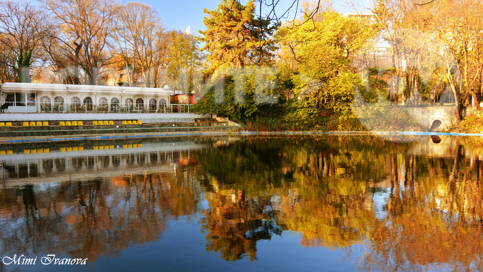 Цветно и слънчево в парка на Варна днес