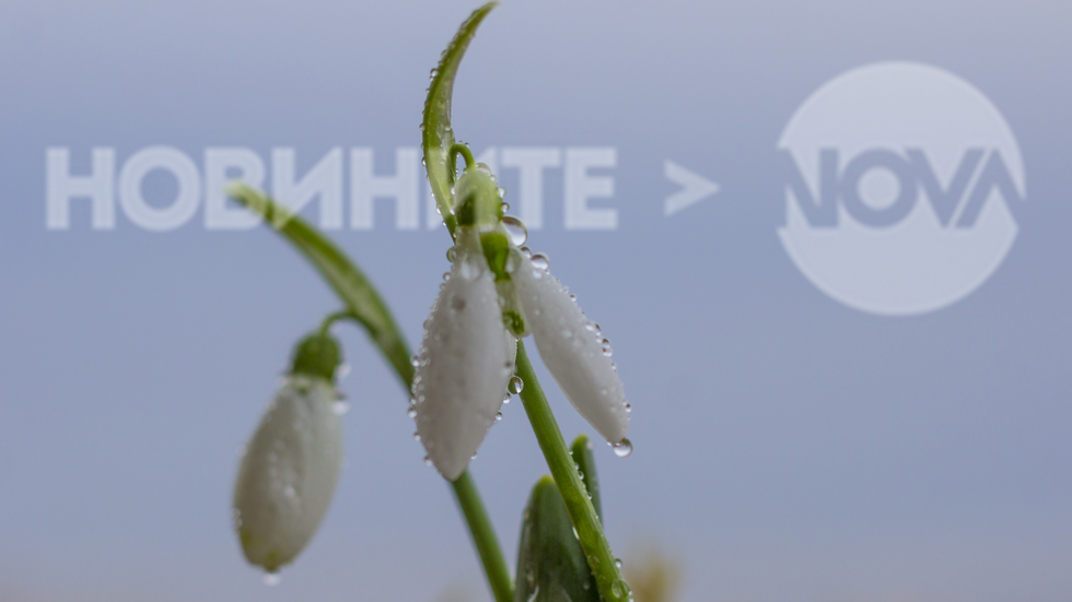 Февруарско