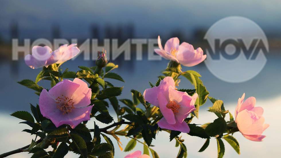 Пролет край язовира