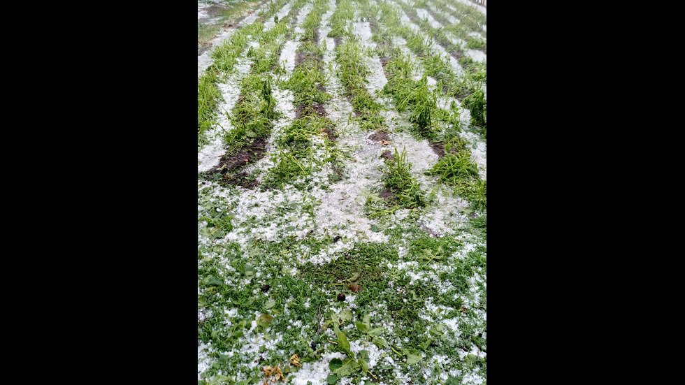 Градушка в Община Нова Загора