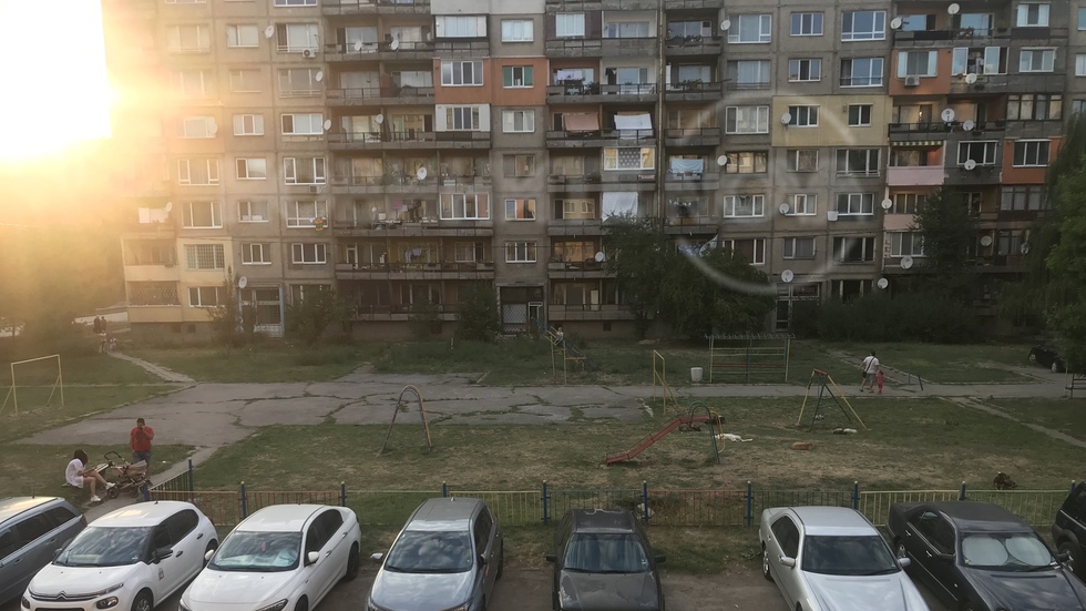 Бездомни кучета, хранени от съседка в блок