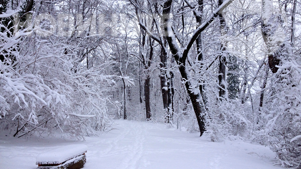Скобелев парк в Плевен под сипещия се сняг