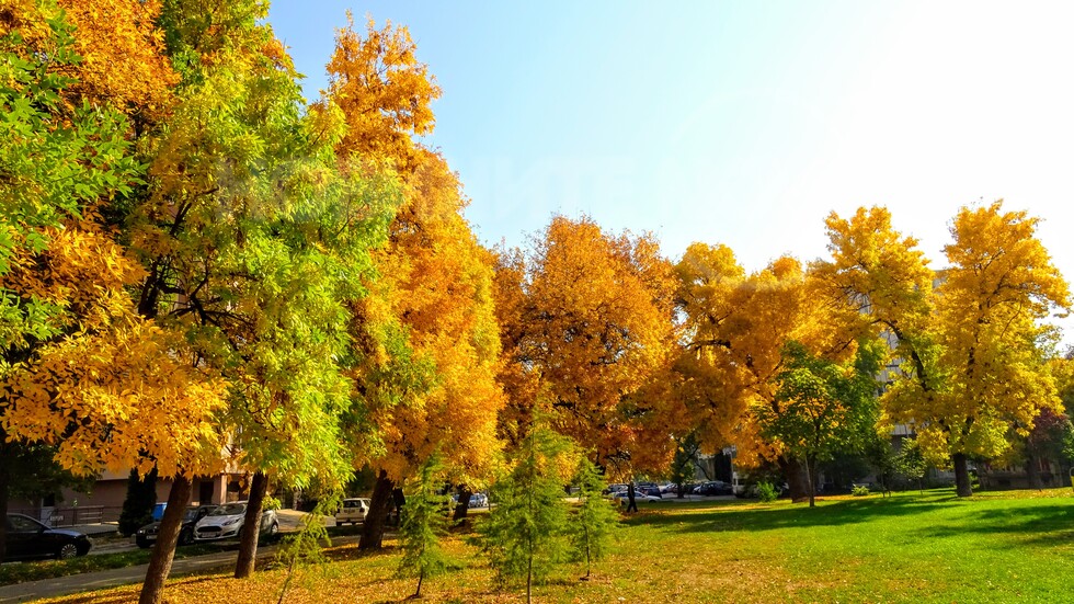 Цветовете на есента