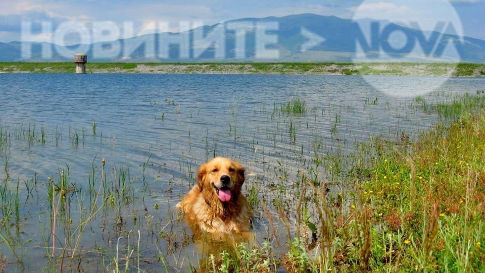 Баня за разхлаждане