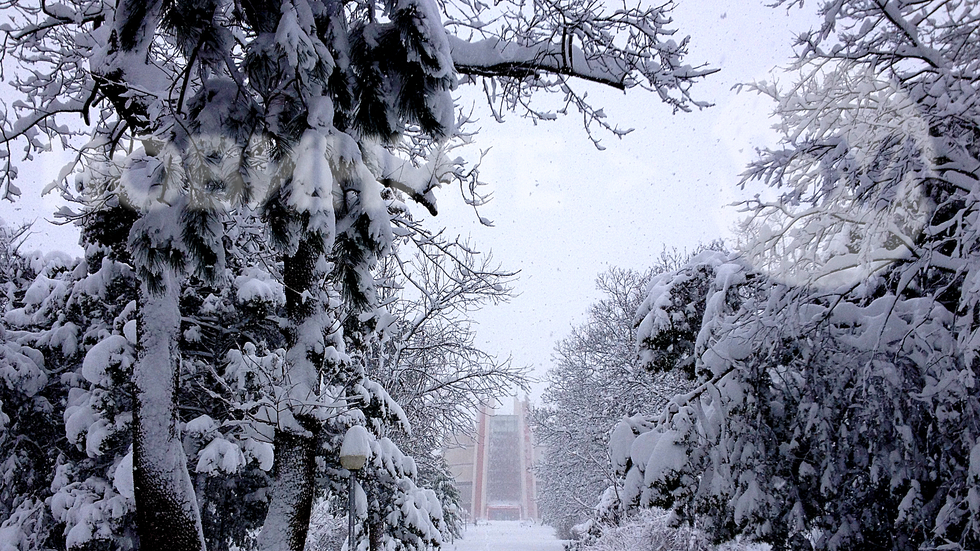 Истинска зима в Скобелев парк