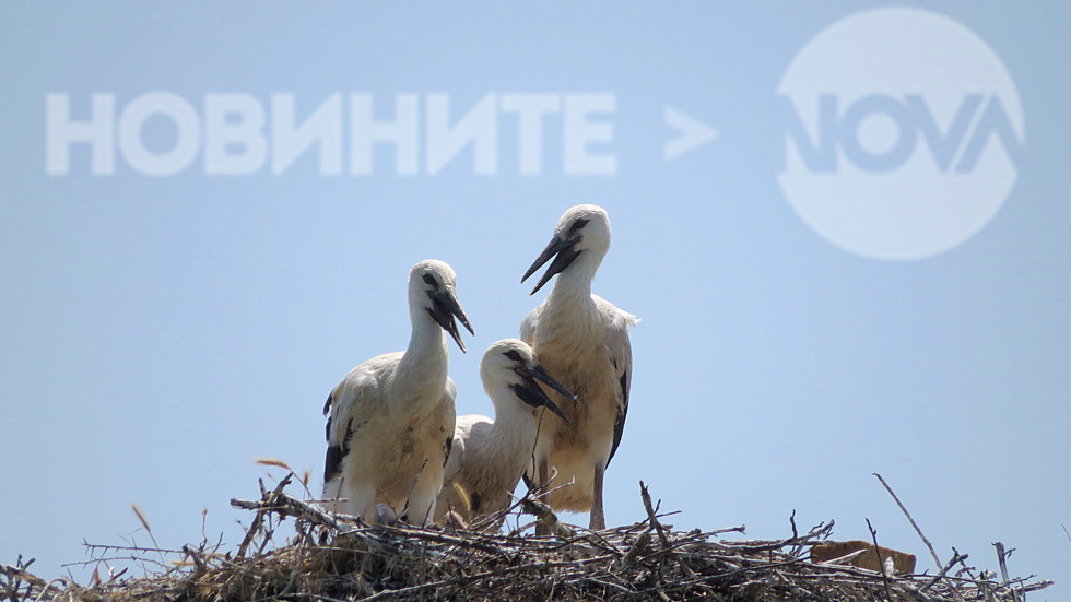 Жегата е за всички!