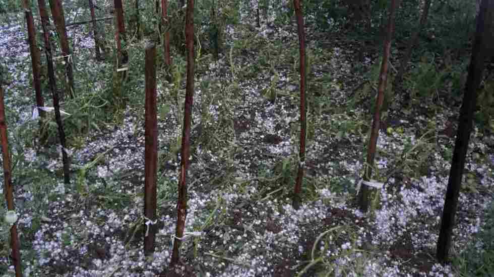 Ужасен град и буря в Перник
