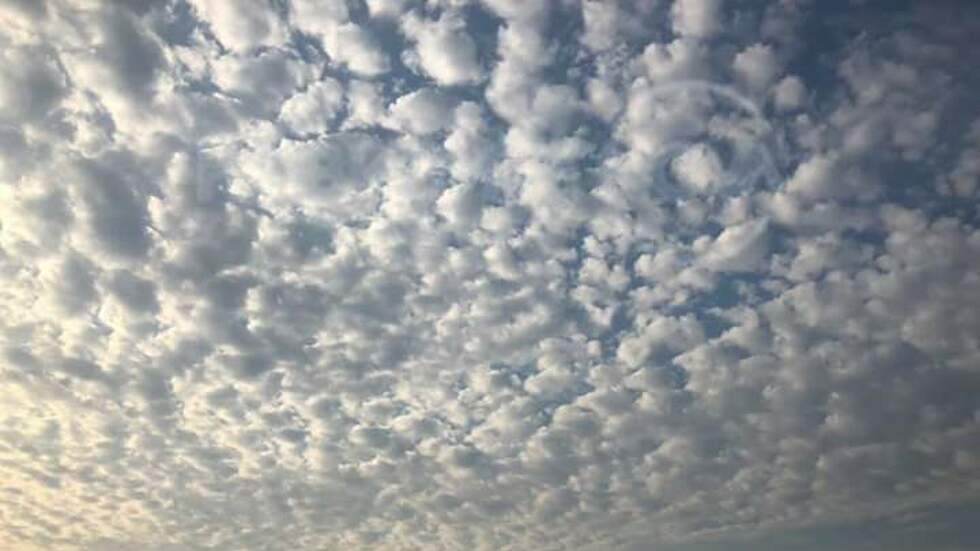 Нека красотата да говори...