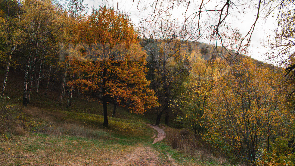 Есенно от Враца