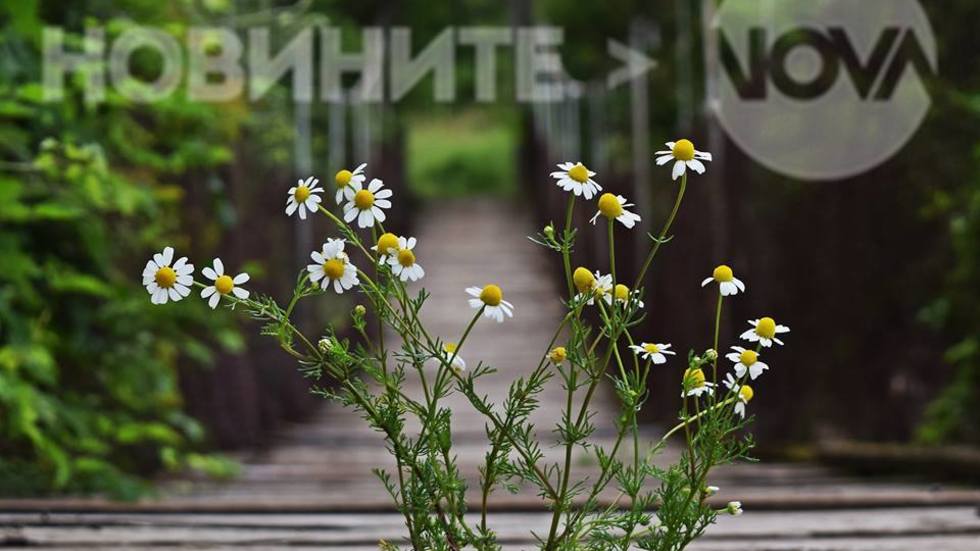 Спомен от детството