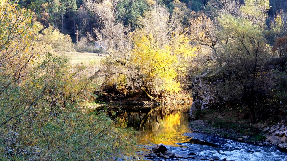 Злато в река Искър