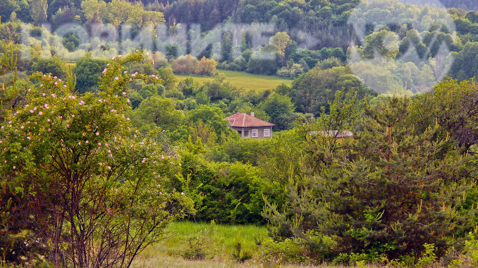 Етюди от планината