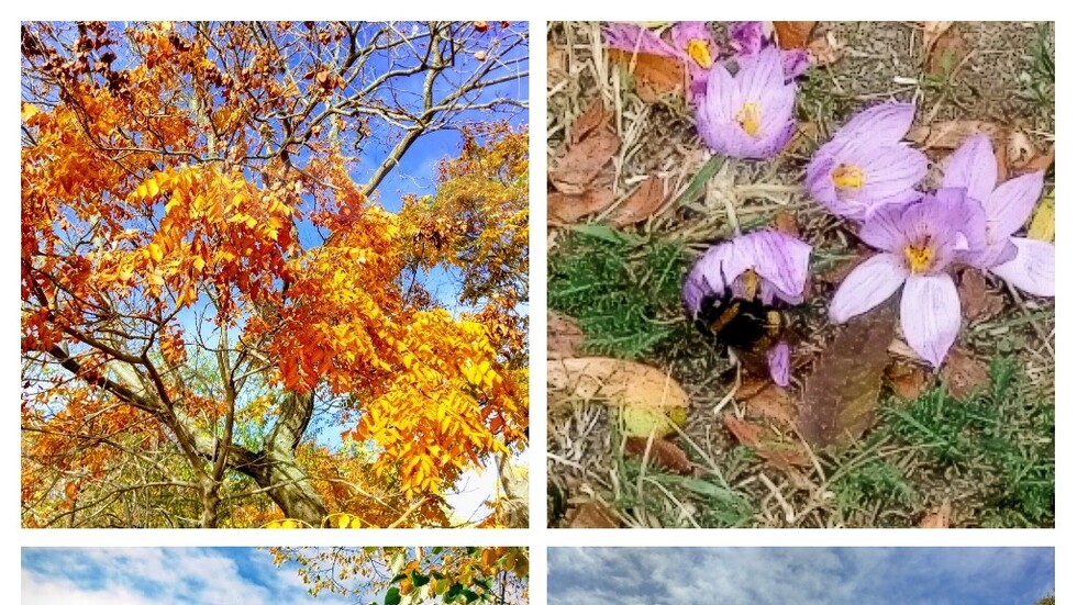 Лято в късна есен