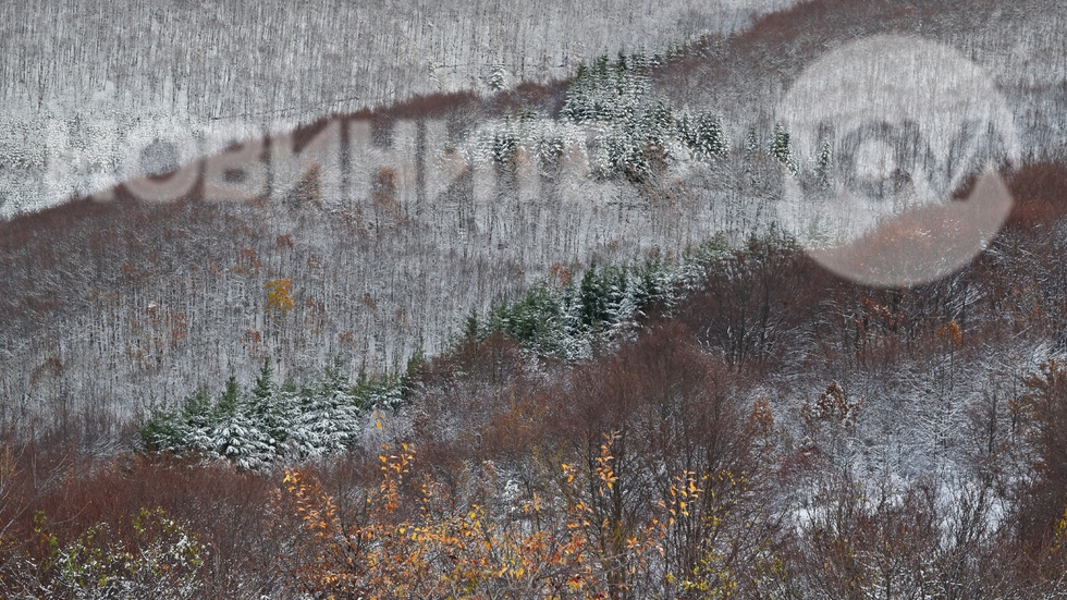 Конявската планина се украси със снежна премяна