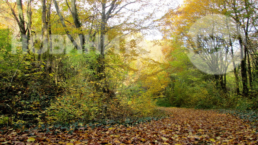 Eсенна гора