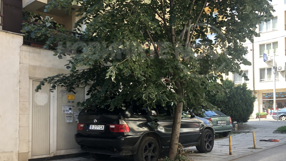 Така се паркира в София