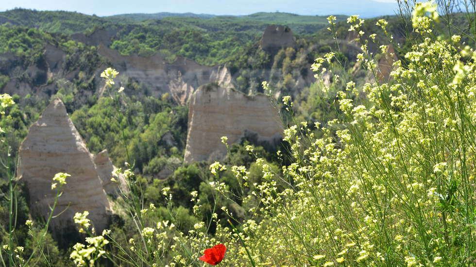 Красота от Мелнишки пирамиди