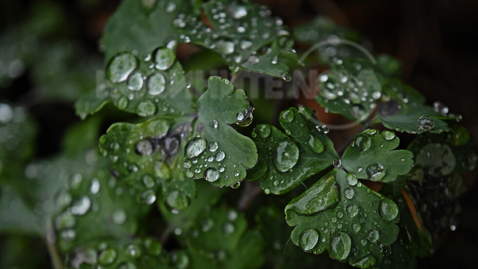 Мъглив и дъждовен неделен следобед