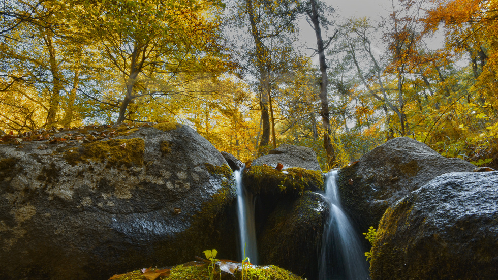 Красотата на есента