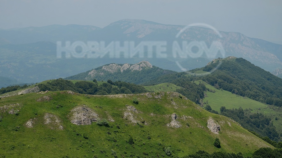 Връх Орловец