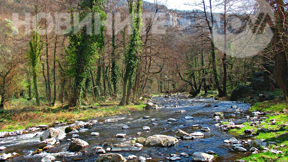 Пролетната Дряновска река