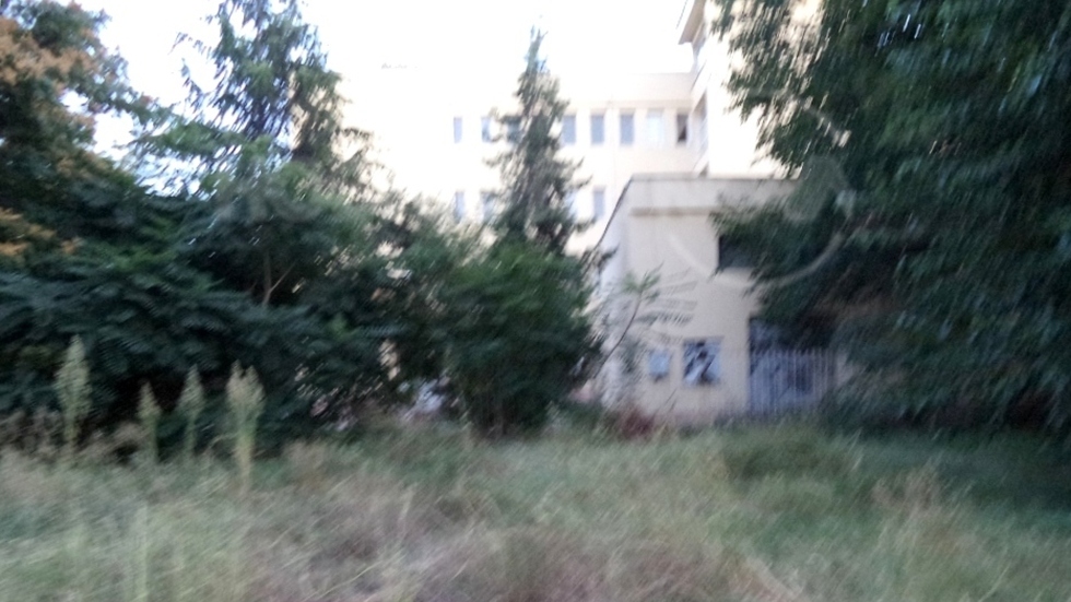 Тъжни гледки от парк в Пловдив