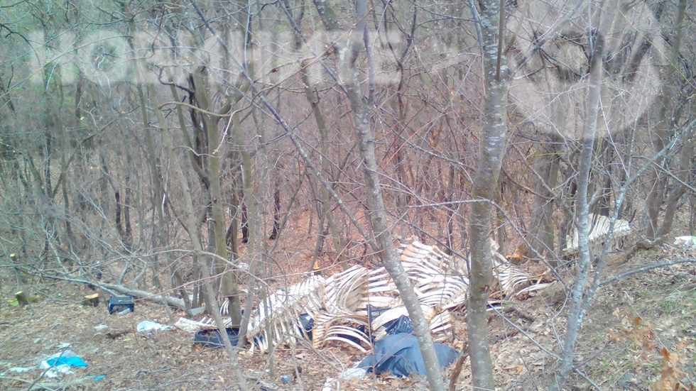Потресаваща гледка на изхвърлени трупни кости на едри животни в горичка