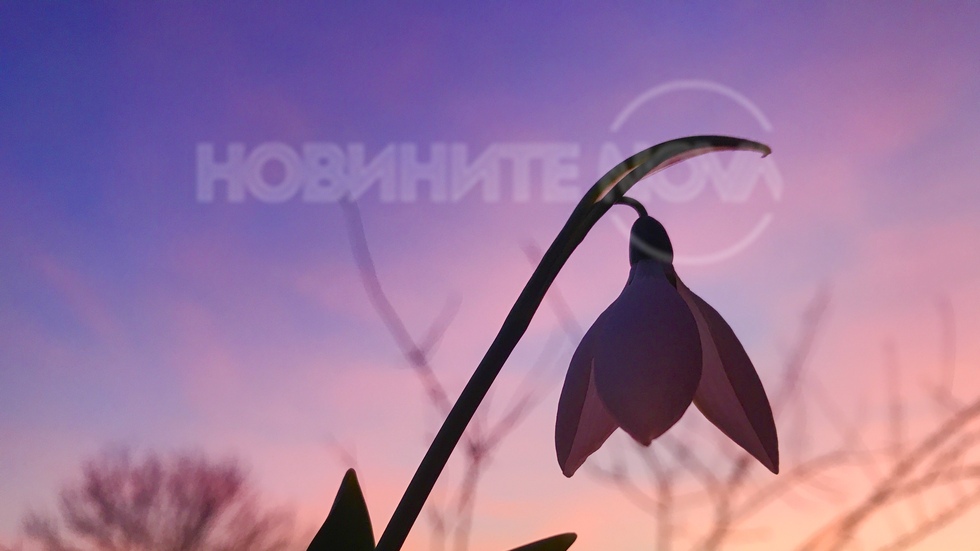 Нежно свечеряване край Плевен