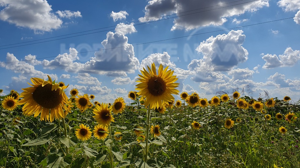 Небето над с. Писанец