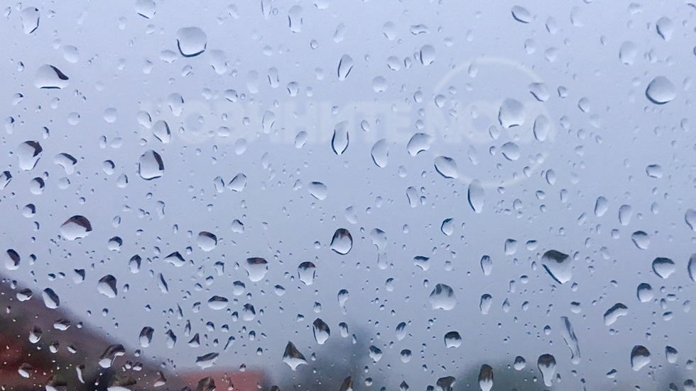 Дъждовни и мъгливи ноемврийски дни