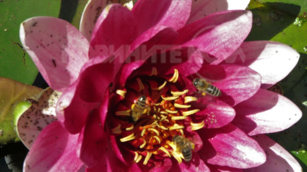 Добре дошъл,месец Май!