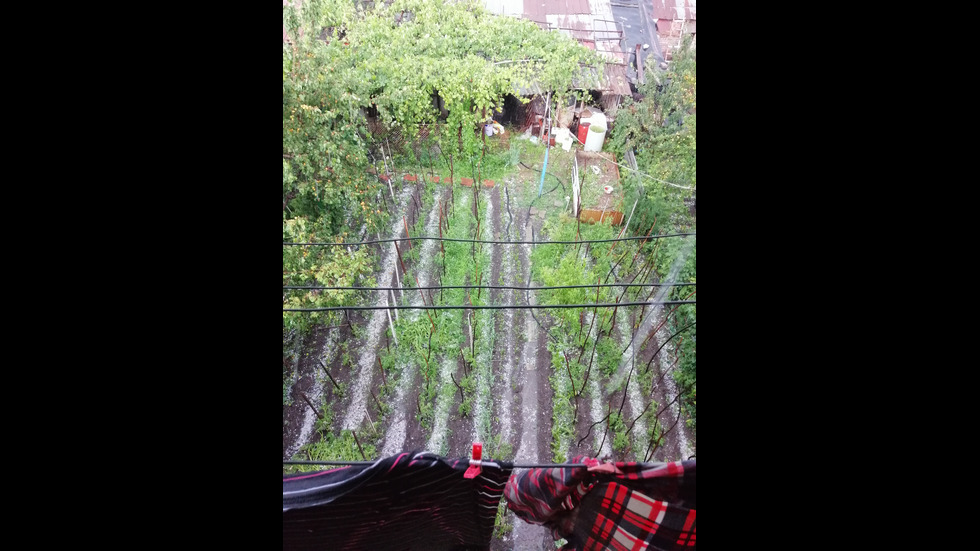 Градушка валя в "Горубляне"