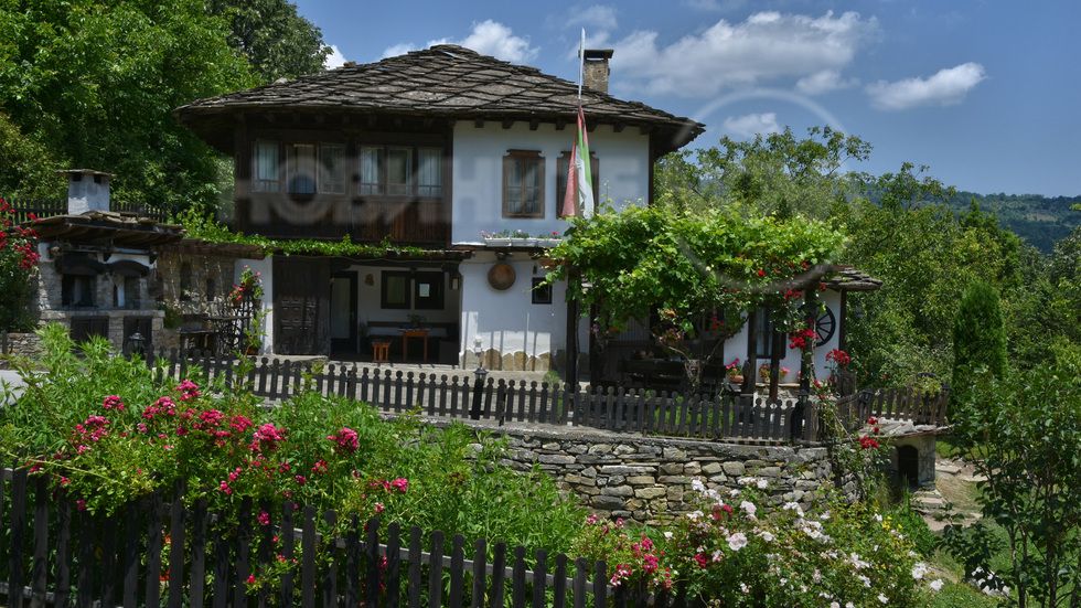 От неделната разходка до Боженци