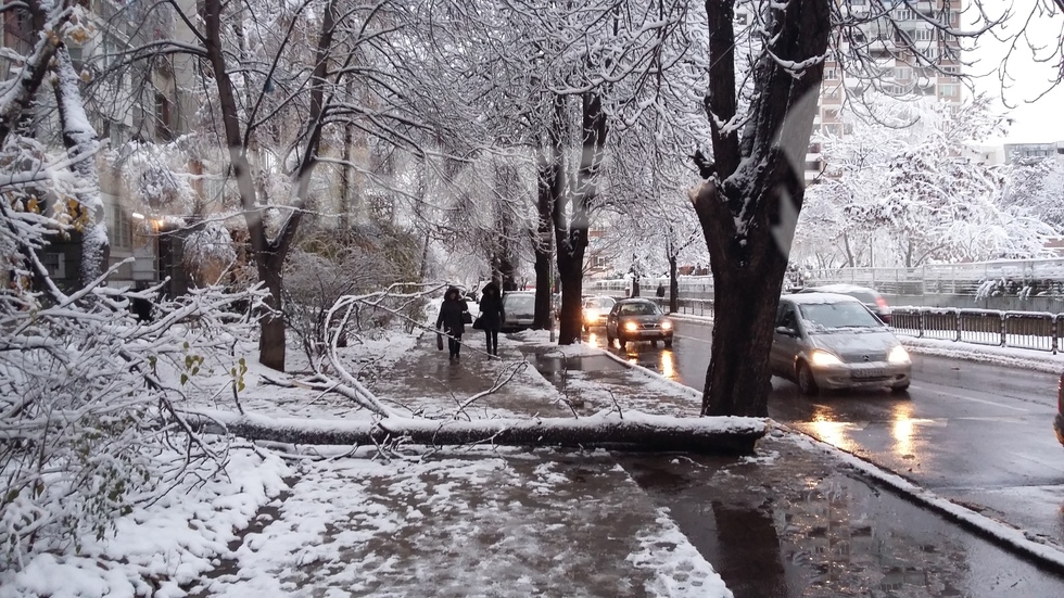 Абсурд на ул. "Одрин" в София