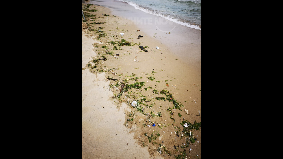 Отпадъци на централен плаж във Варна