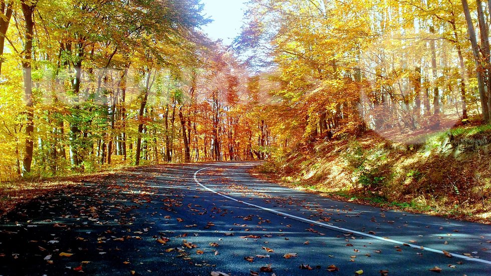 Есен в Сливенския Балкан