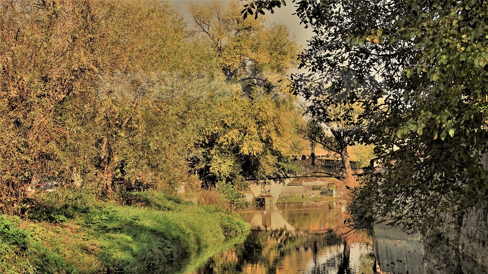 ТРЯВНА КРАСИВА И ПРЕЗ ЕСЕНТА...