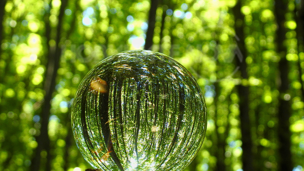 И обърнатият свят може да бъде красив!