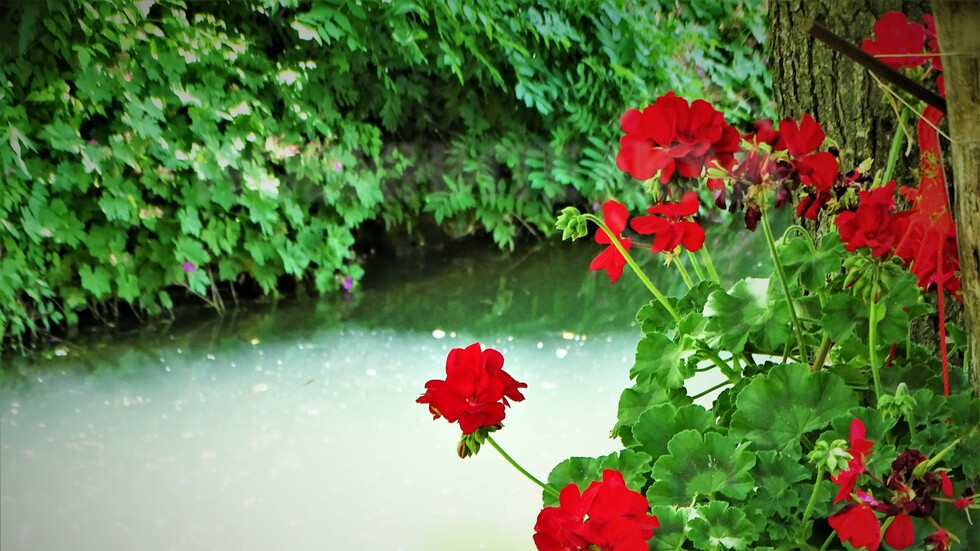 Успешна нова седмица!