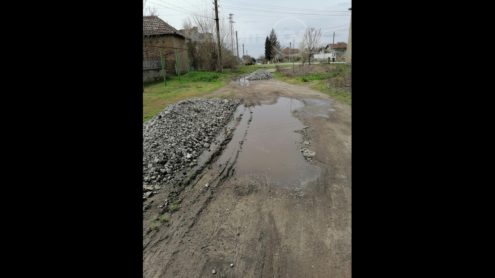 Предизборни обещания и решения